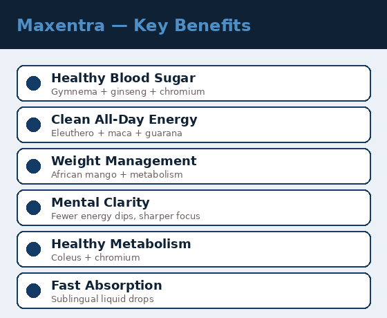 Maxentra key benefits overview